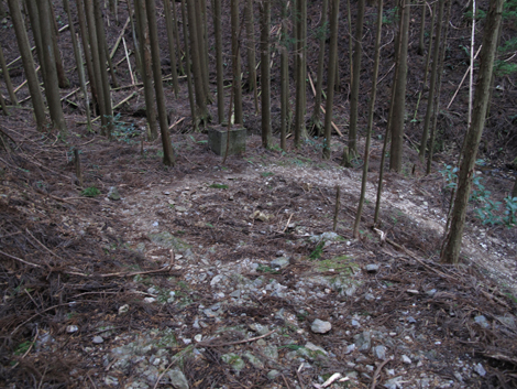 20140105hike (292)